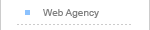 Web Agency